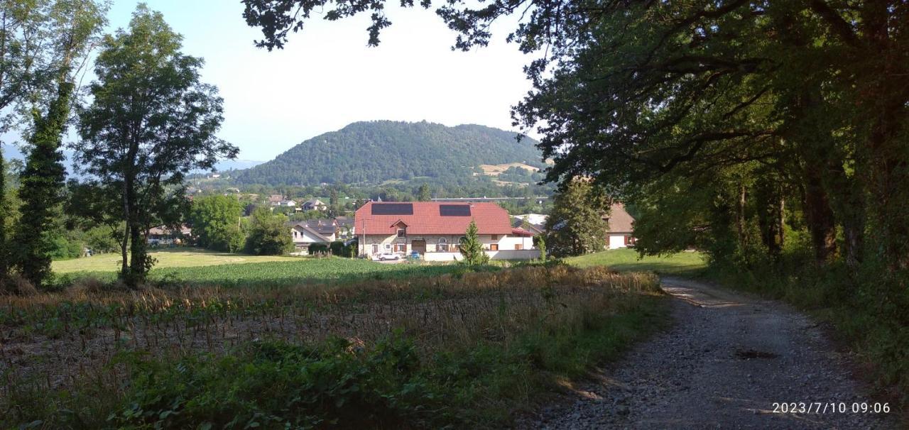 Gite De Cret Vial Alby-sur-Cheran Exterior foto